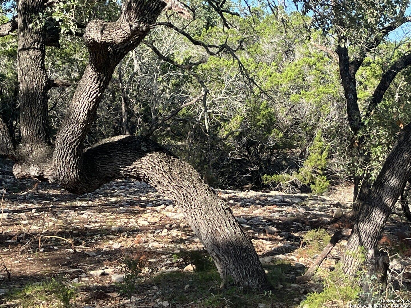 5.2 acres in Comal County - photo 17