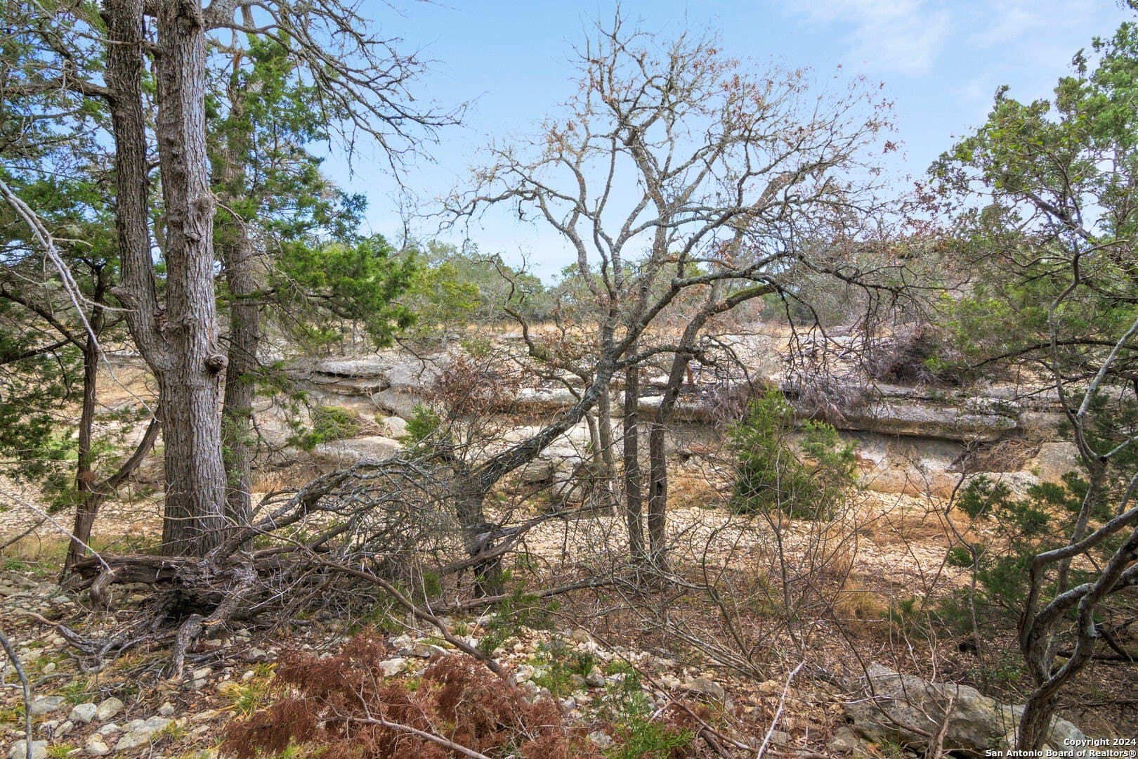 5.2 acres in Comal County - photo 9