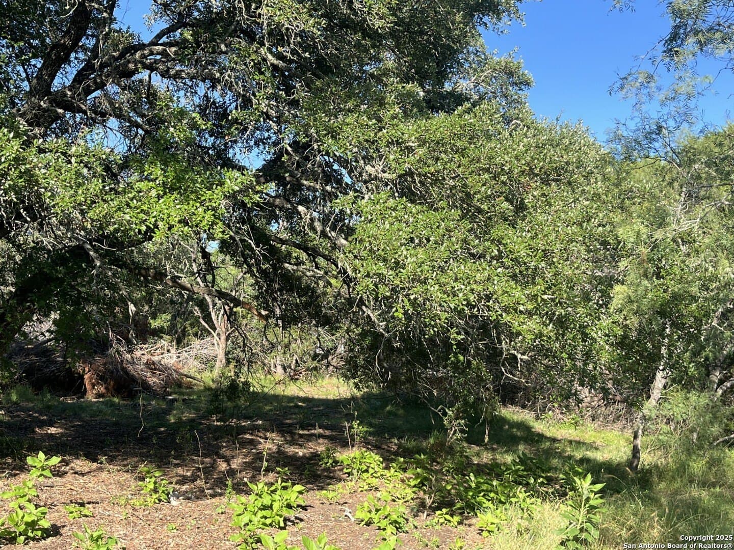 5.2 acres in Comal County - photo 16