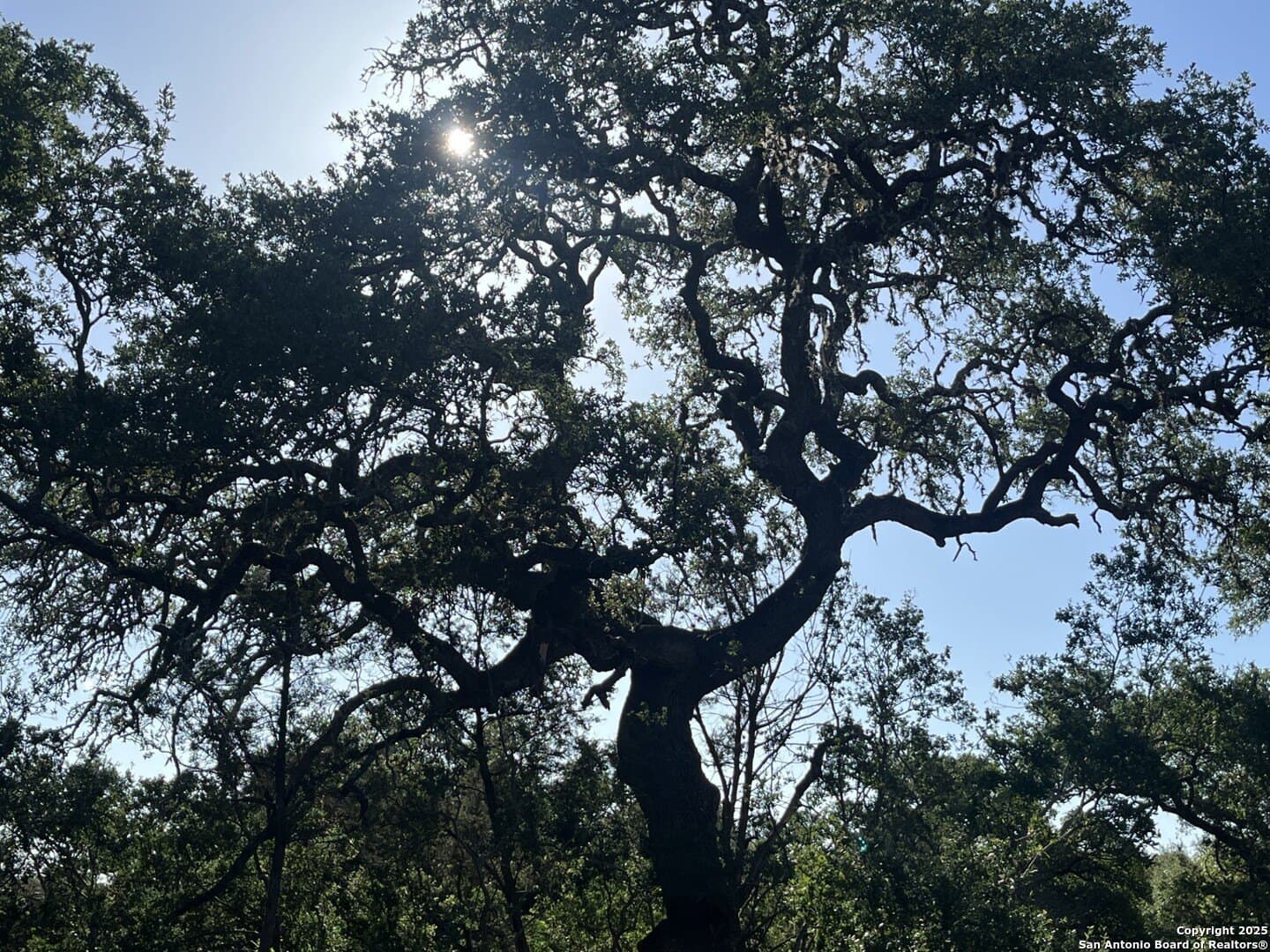 5.2 acres in Comal County - photo 11