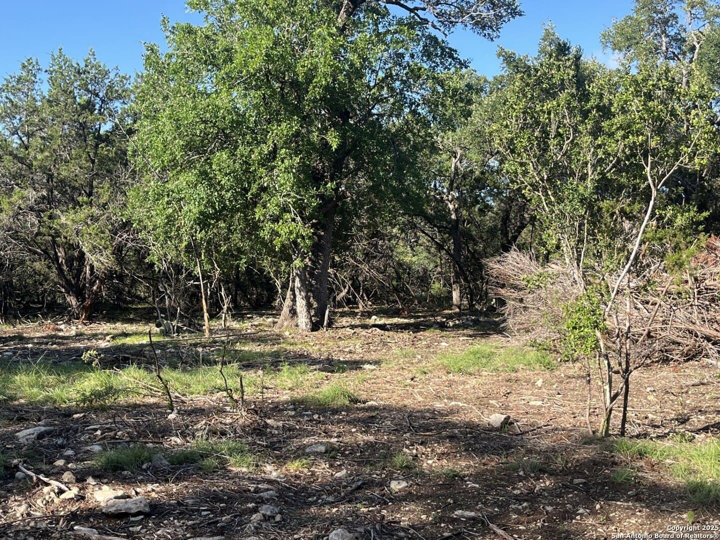 5.2 acres in Comal County - photo 22