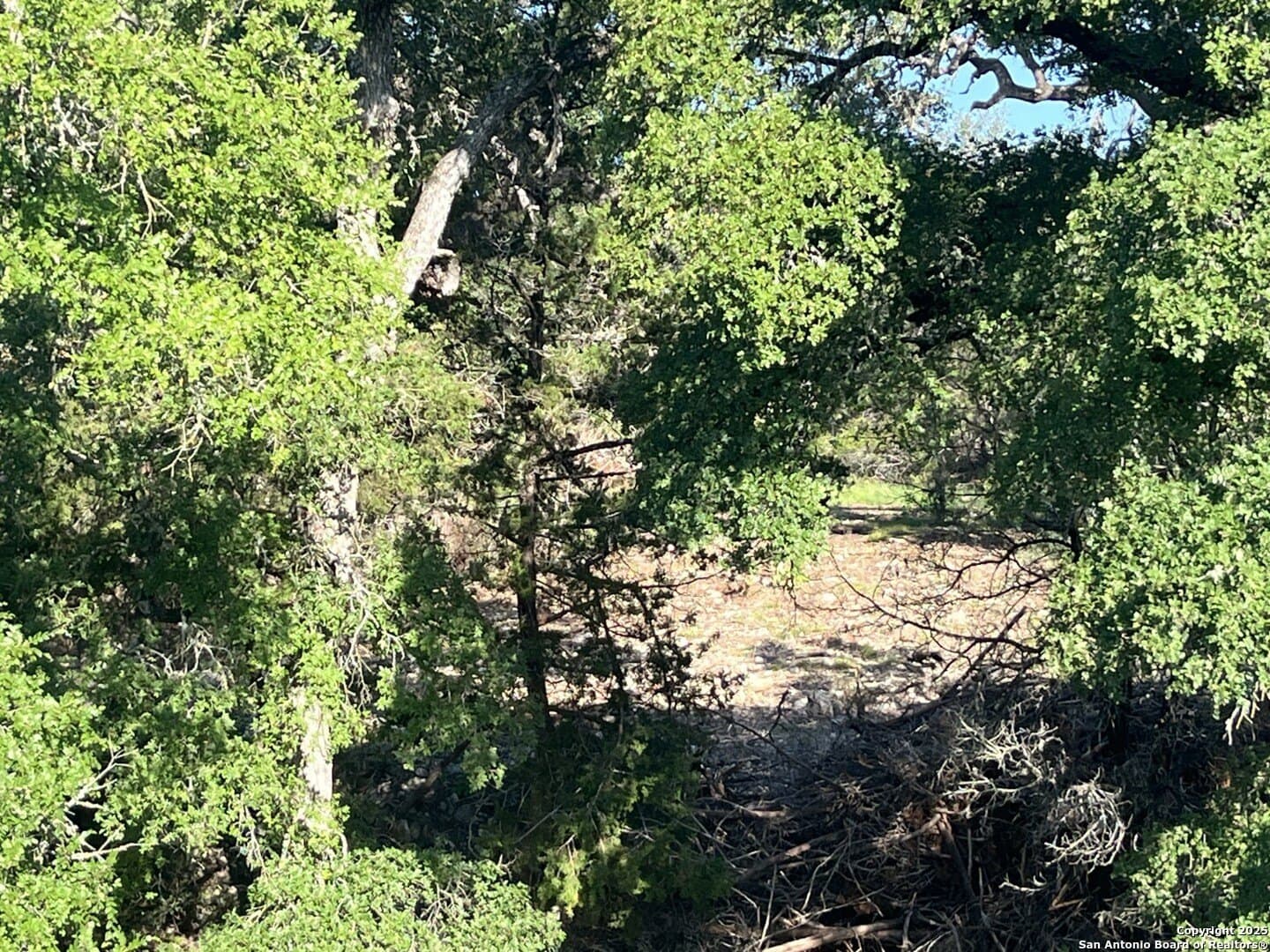 5.2 acres in Comal County - photo 20