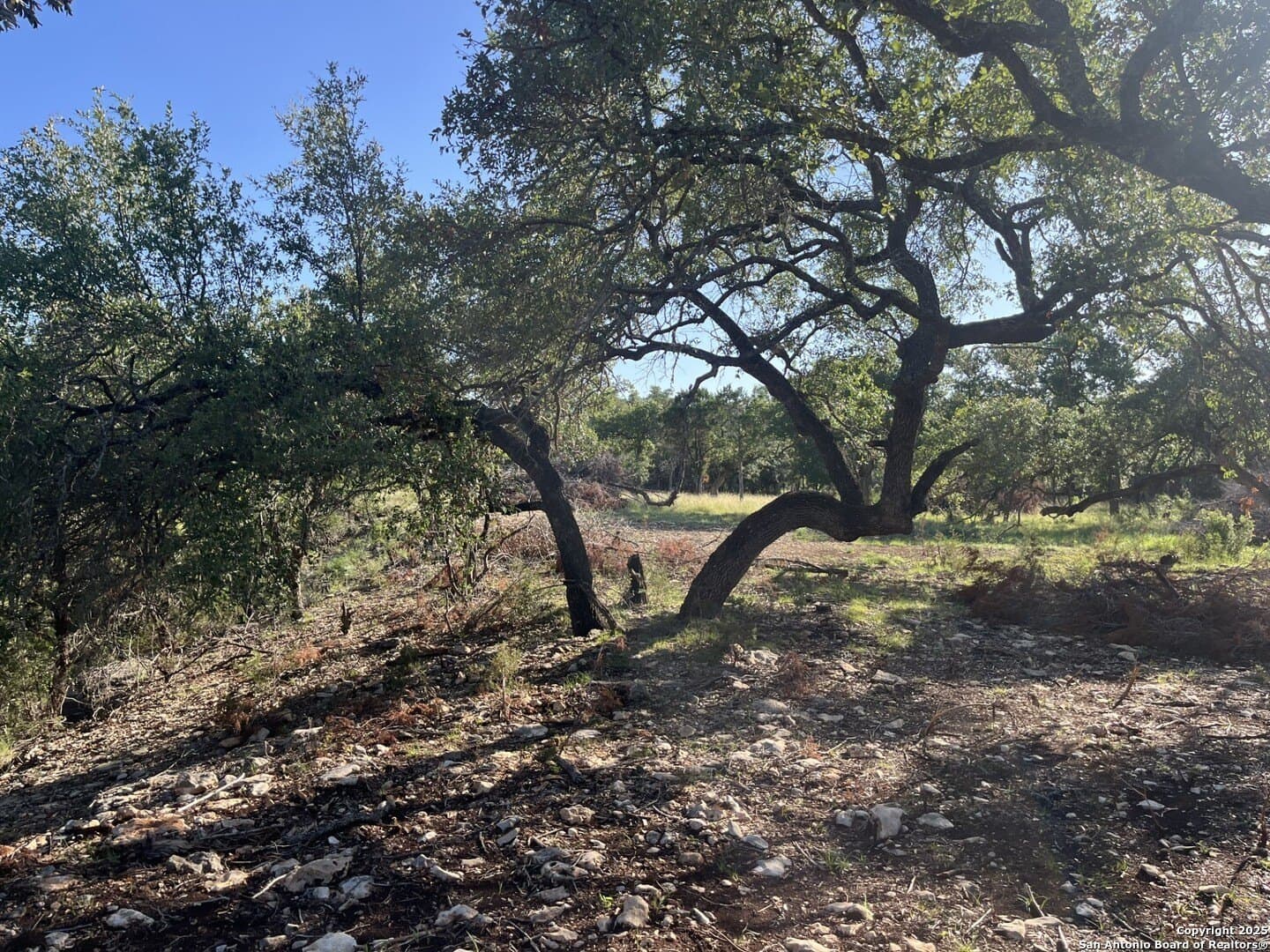 5.2 acres in Comal County - photo 14