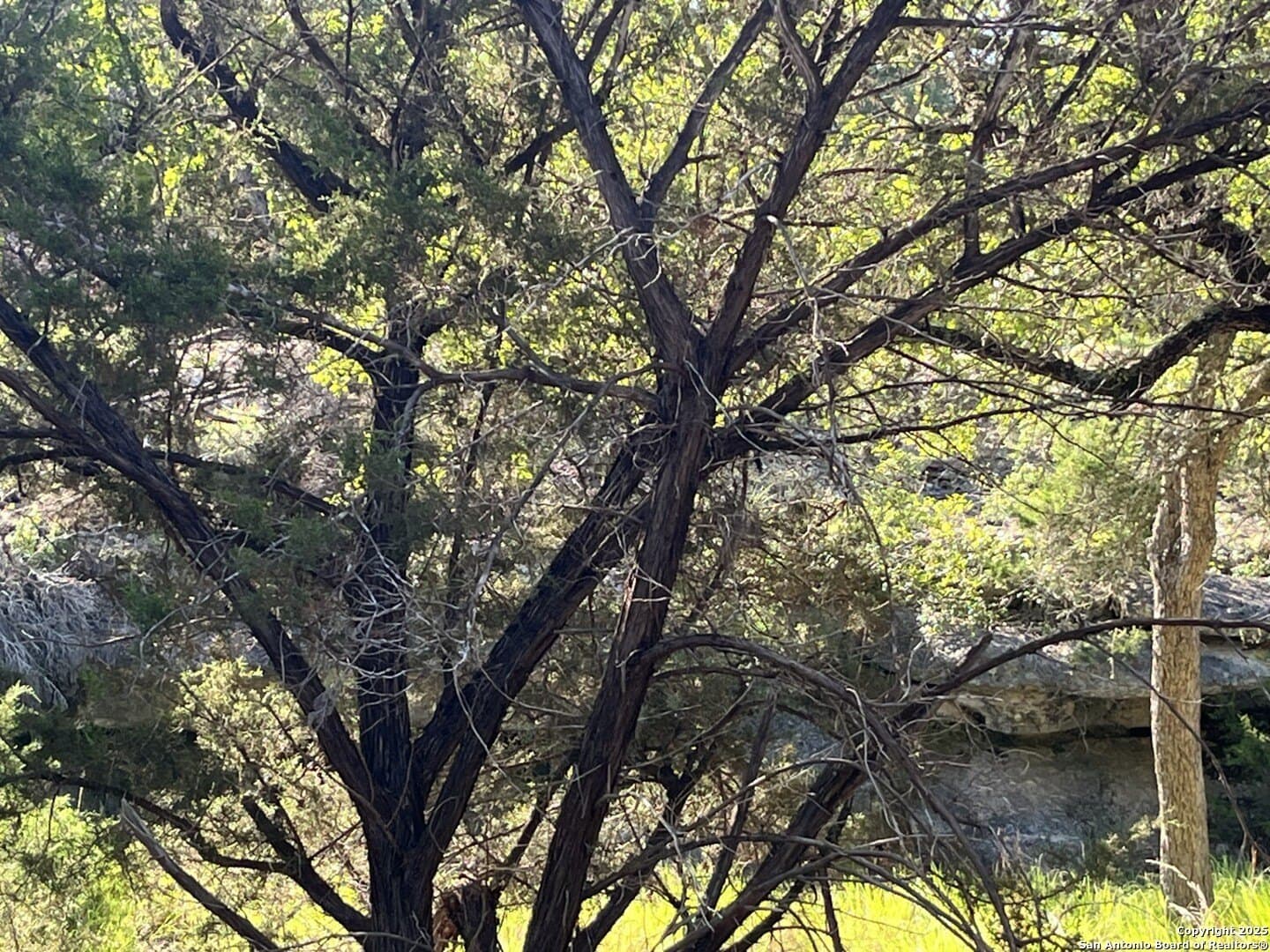 5.2 acres in Comal County - photo 12