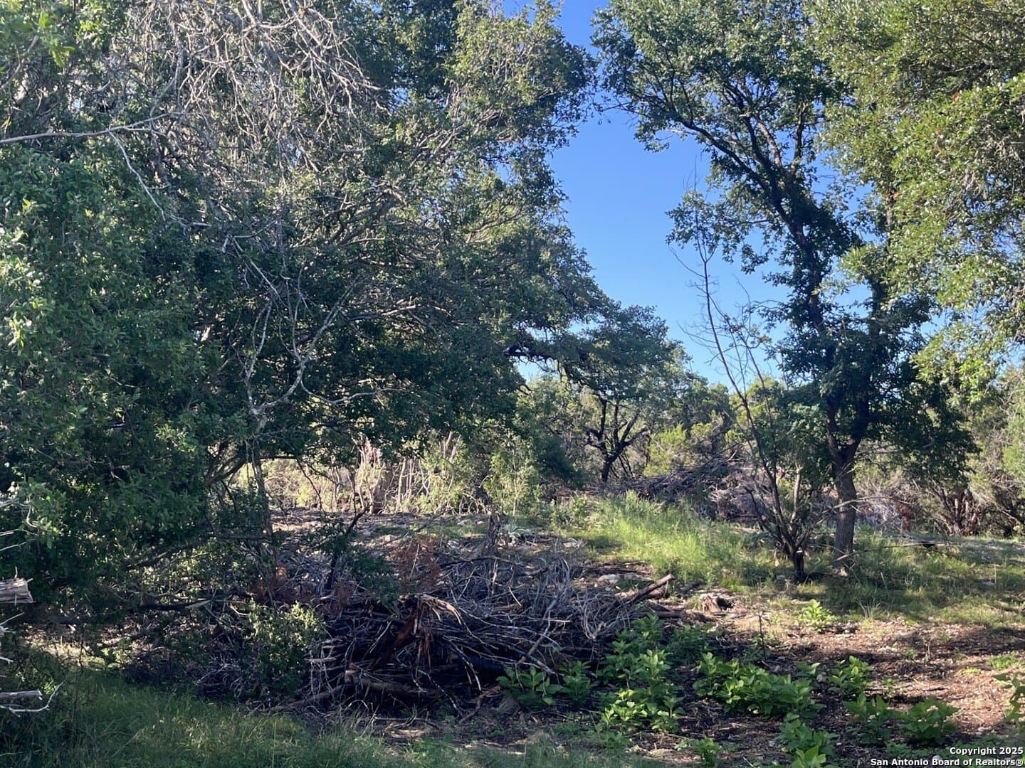 5.2 acres in Comal County - photo 15