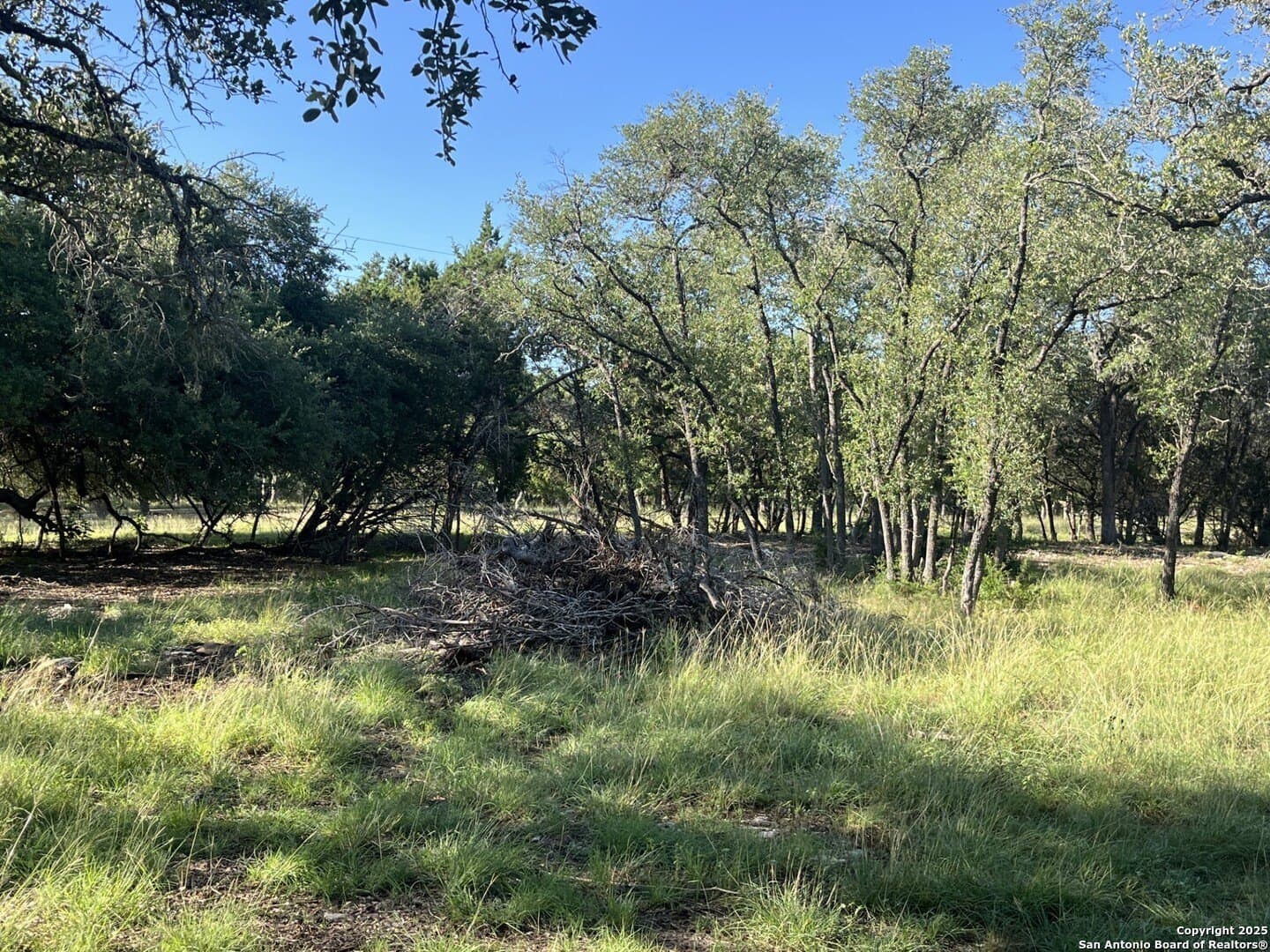 5.2 acres in Comal County - photo 19
