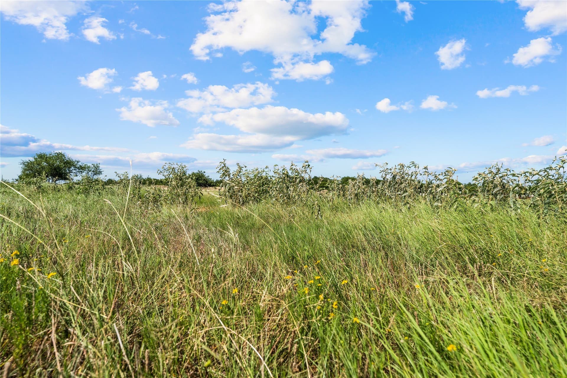 1.08 acres in Hill County - photo 3