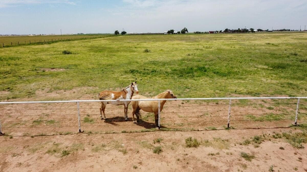 340 acres in Randall County - photo 153