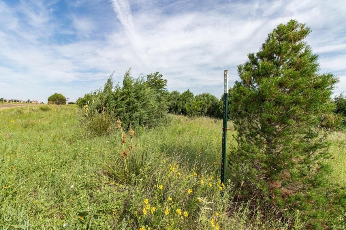 340 acres in Randall County - photo 146