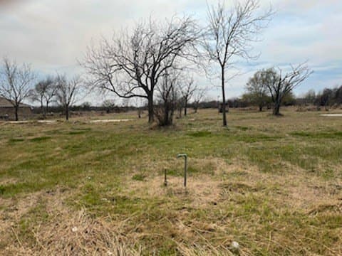 100,000 acres in San Patricio County - photo 3