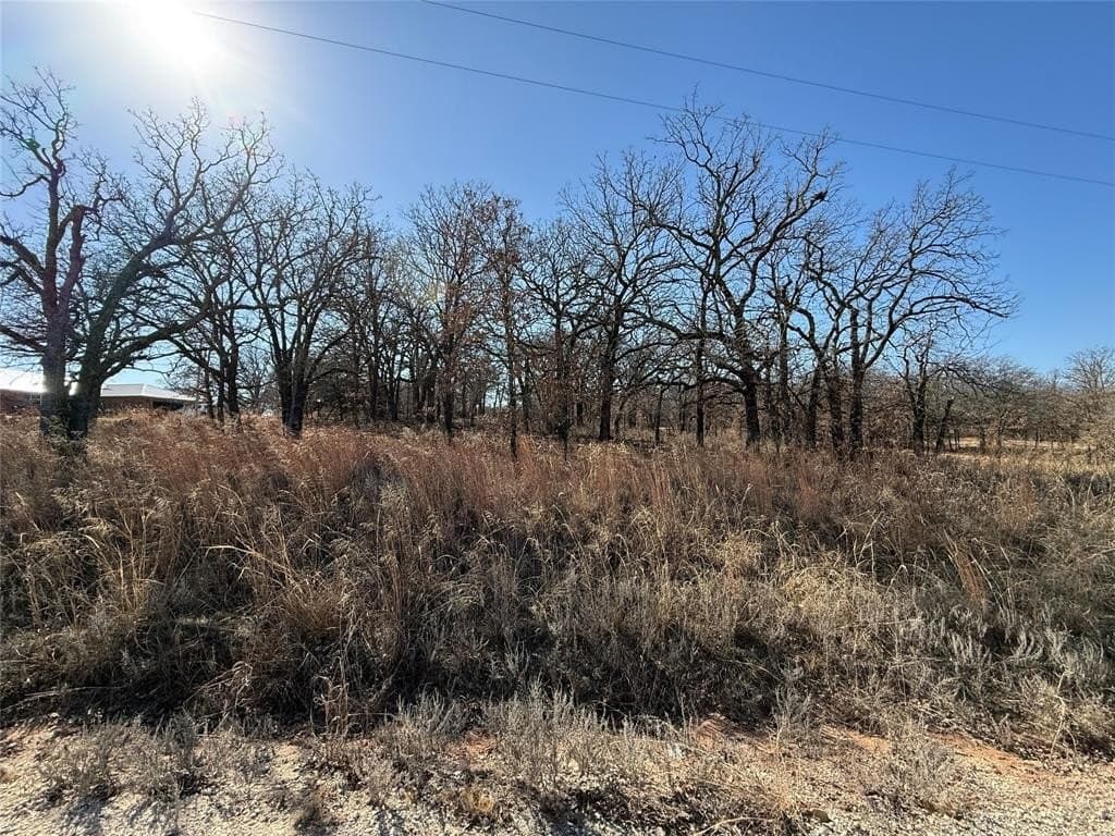 0.29 acres in Montague County