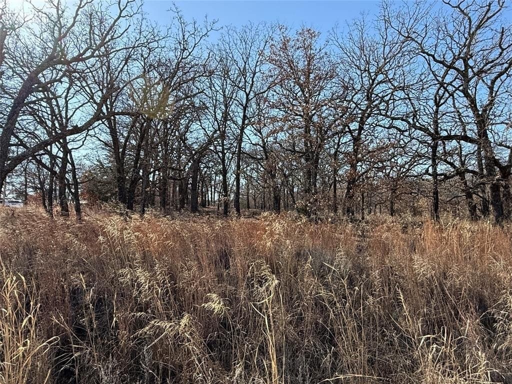 0.29 acres in Montague County featured view