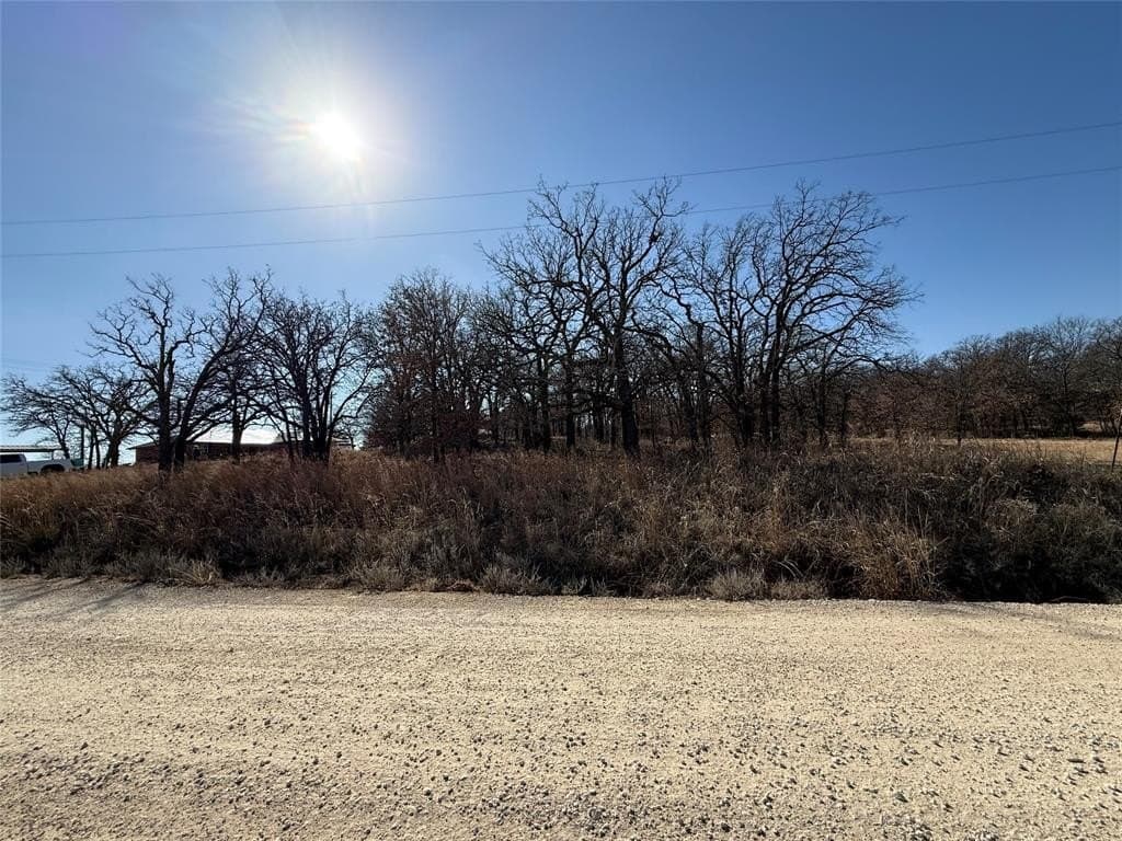 0.29 acres in Montague County gallery image 3