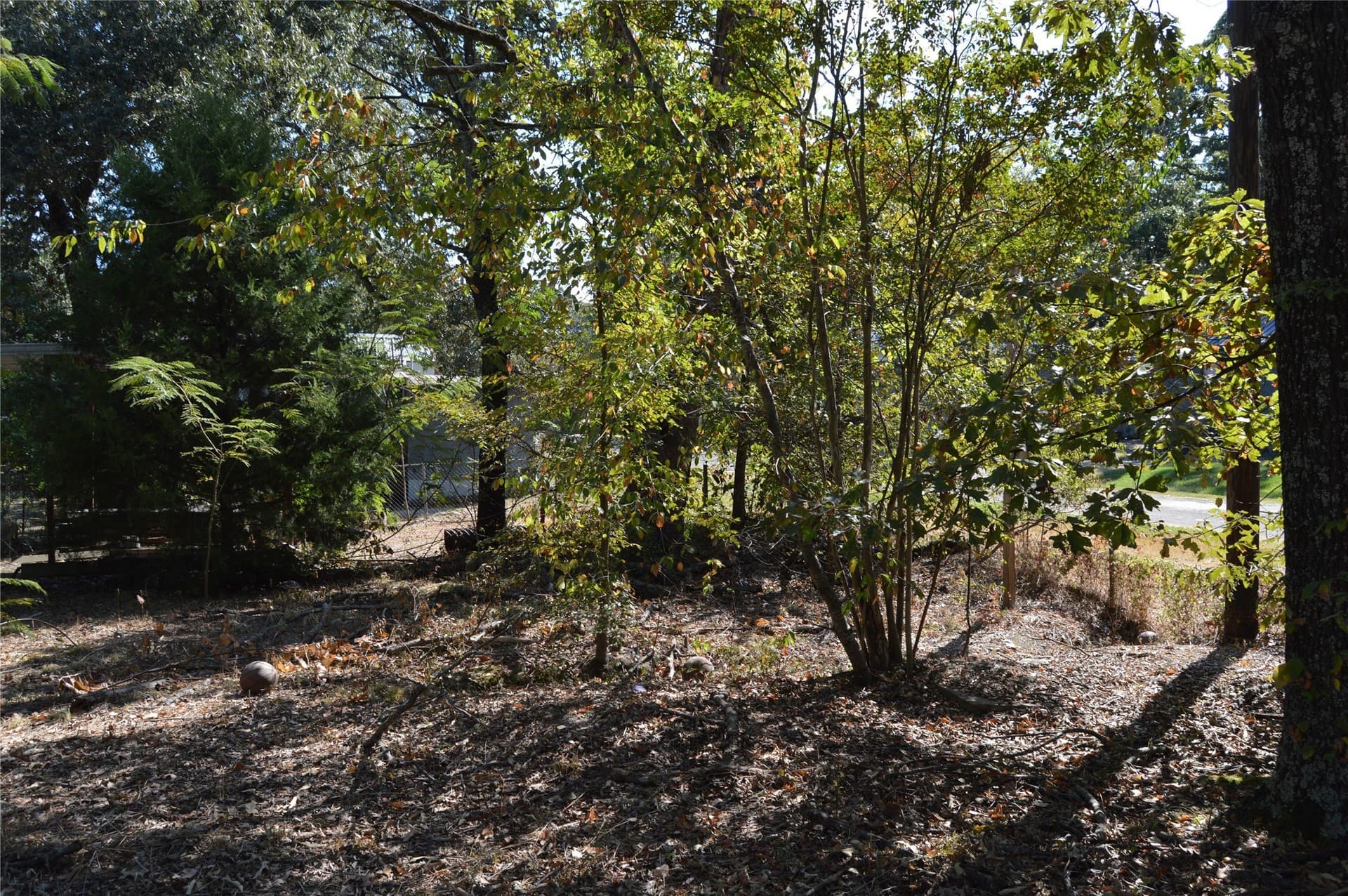 0.12 acres in Rains County - photo 19