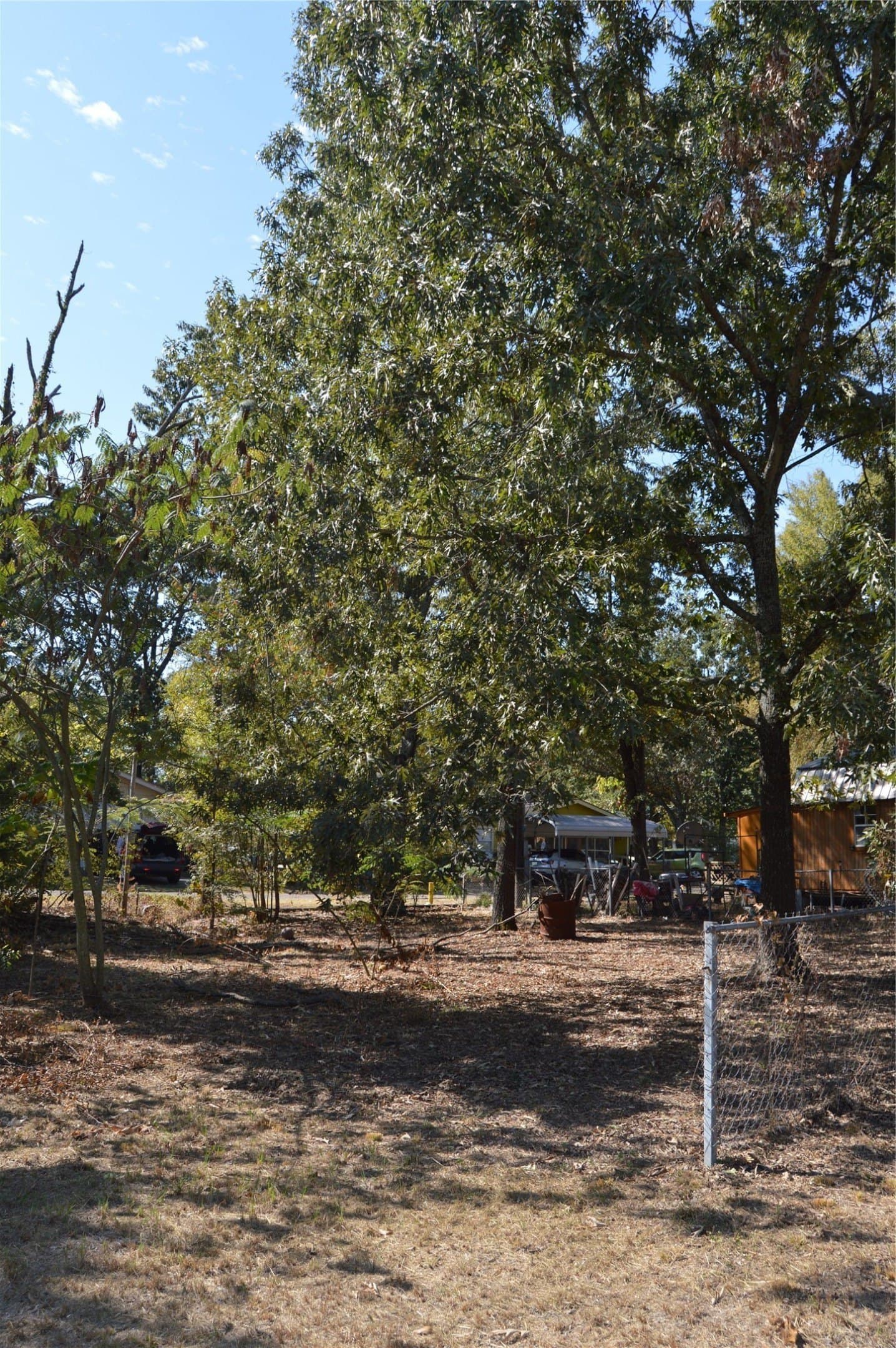 0.12 acres in Rains County - photo 14