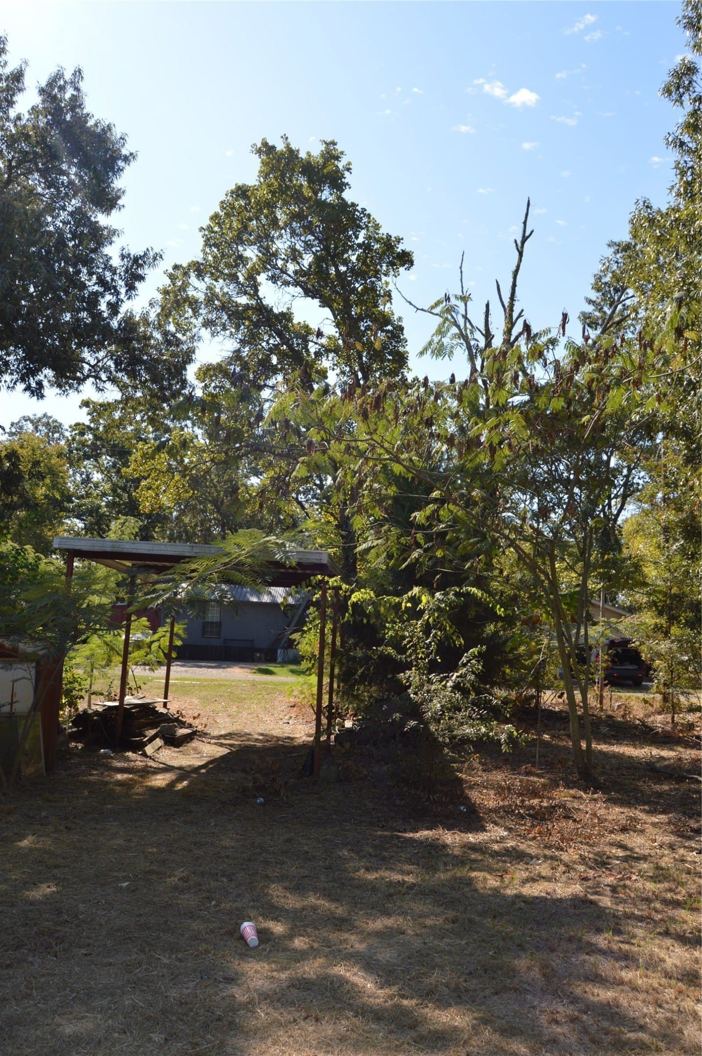 0.12 acres in Rains County - photo 17