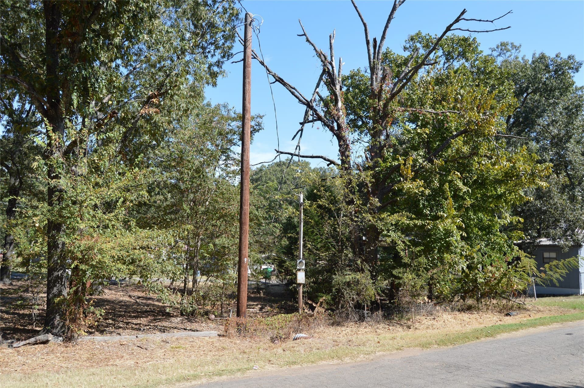 0.12 acres in Rains County - photo 18