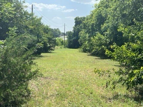 2.38 acres in Collin County - photo 2