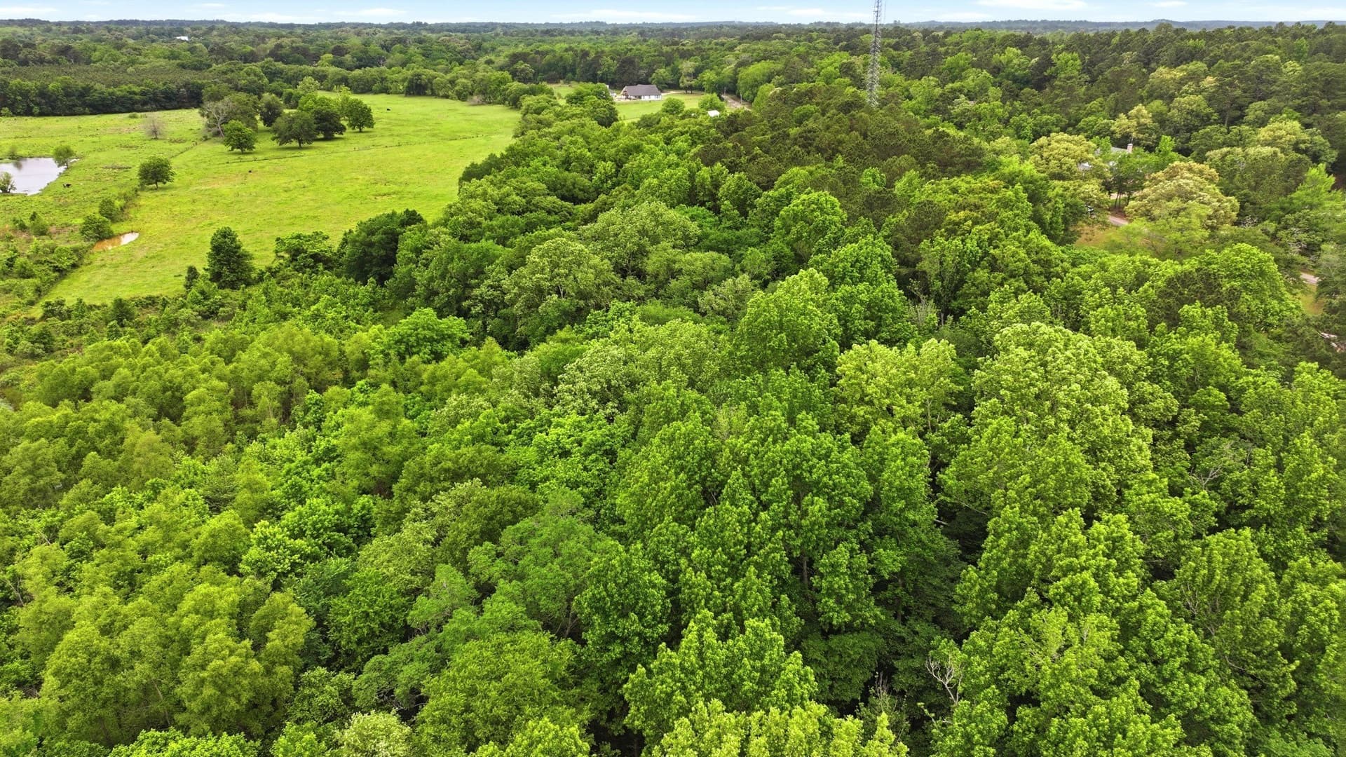 13.69 acres in Smith County - photo 10