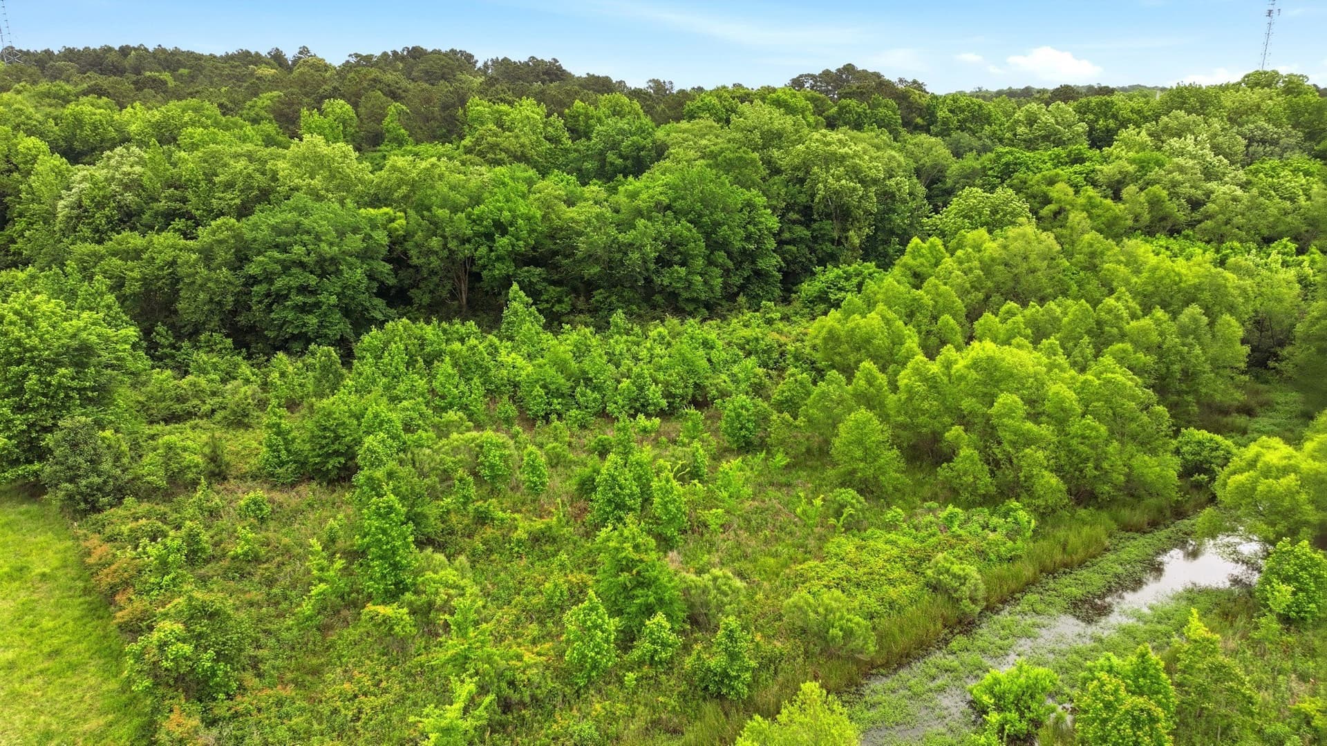 13.69 acres in Smith County - photo 9