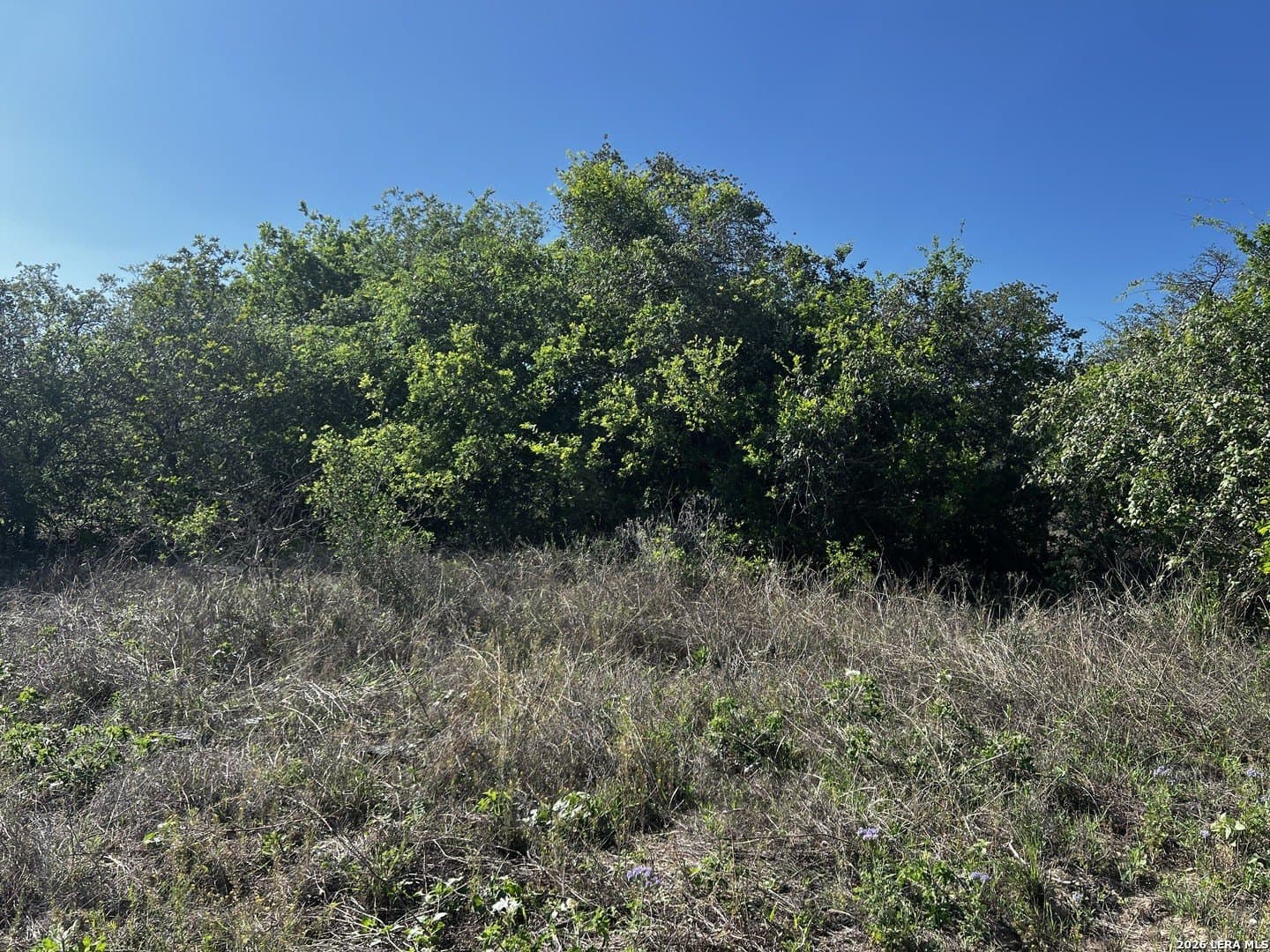 0.91 acres in Atascosa County - photo 13