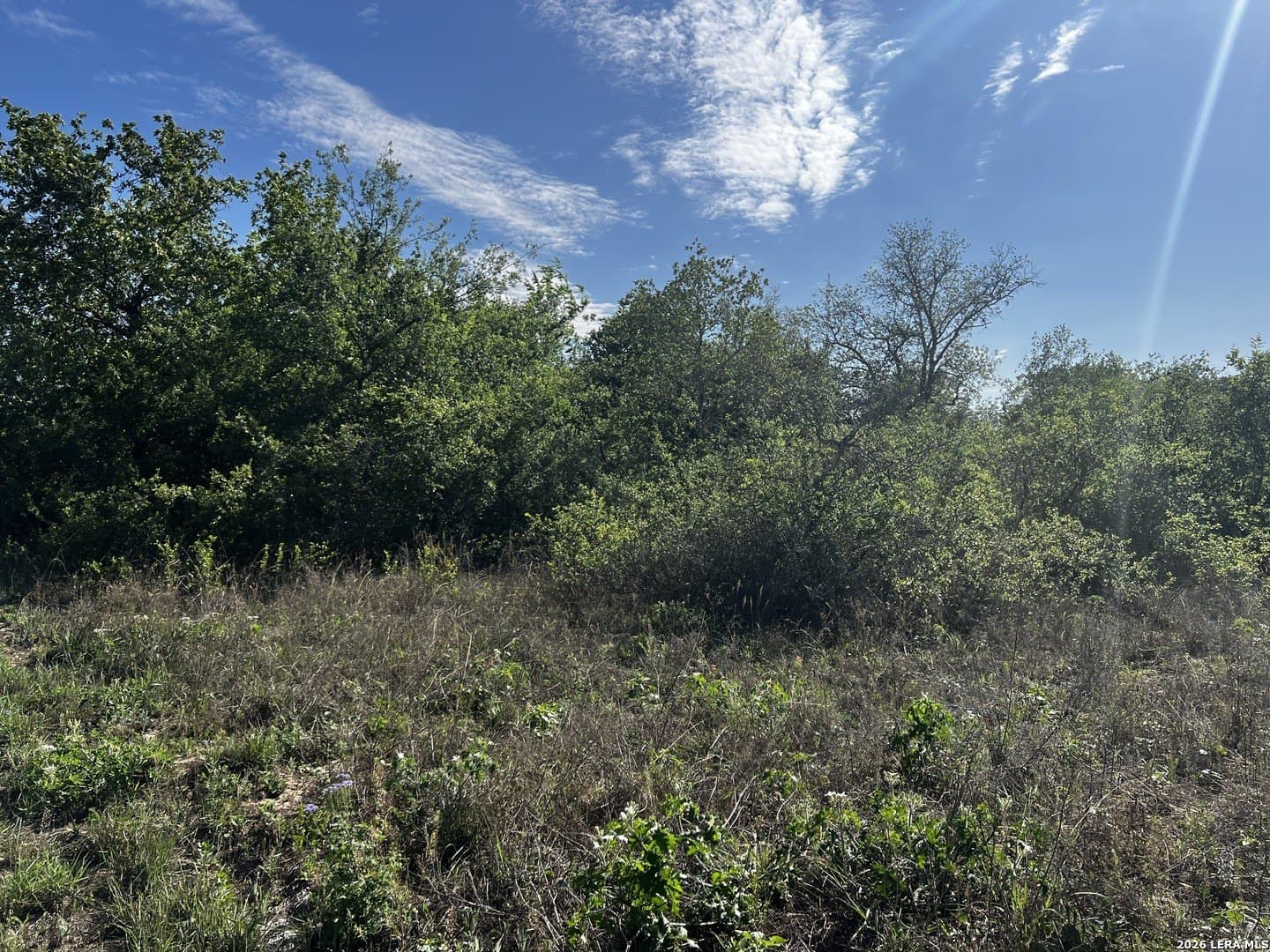 0.91 acres in Atascosa County - photo 14