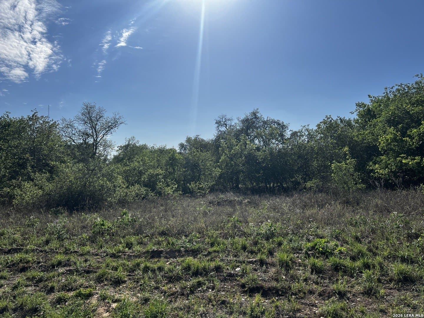 0.91 acres in Atascosa County - photo 15