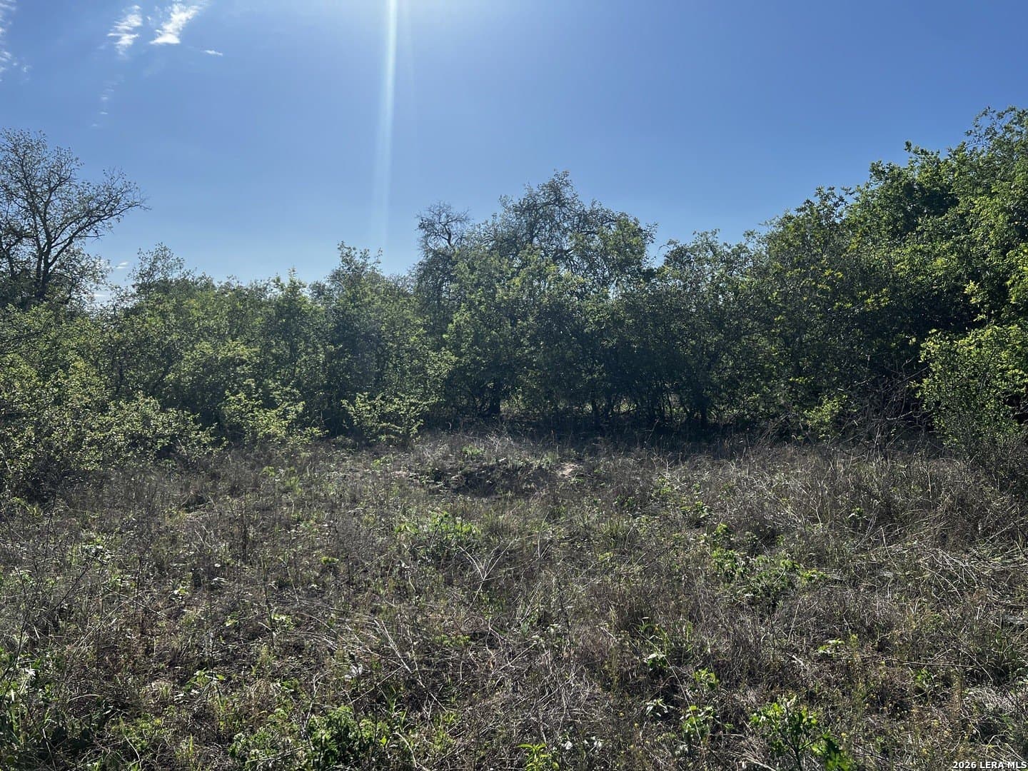 0.91 acres in Atascosa County - photo 12