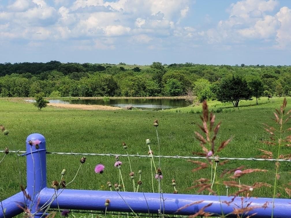 142.54 acres in Limestone County