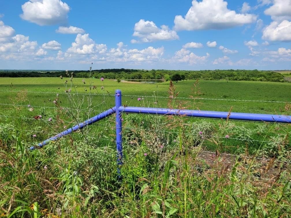 142.54 acres in Limestone County gallery image 2