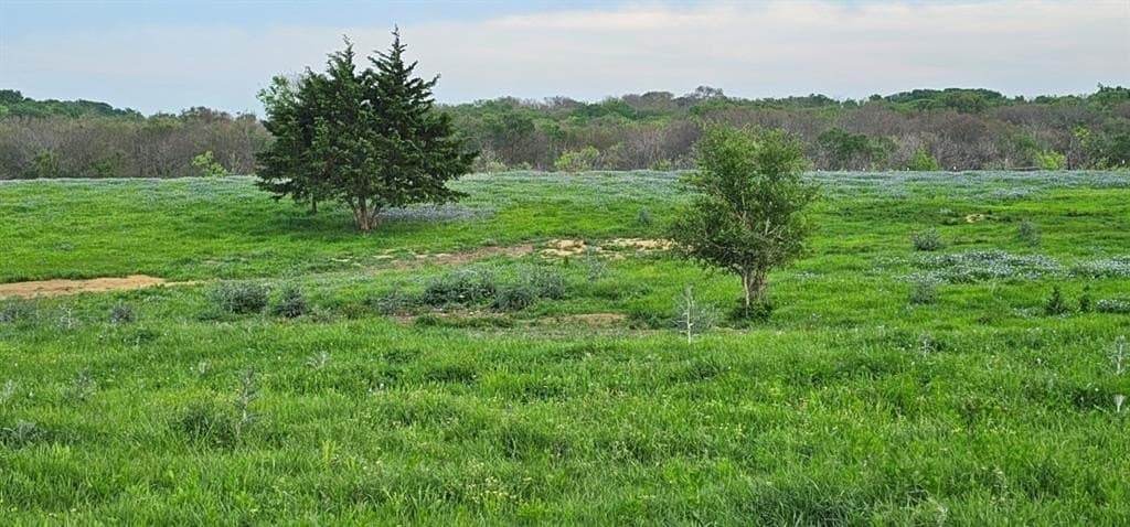 142.54 acres in Limestone County gallery image 4