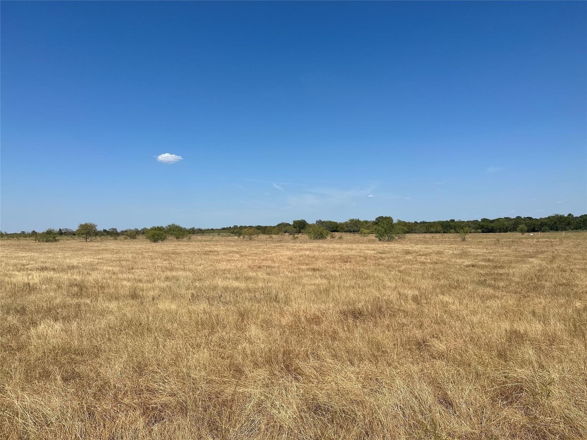 5.02 acres in Van Zandt County - photo 8