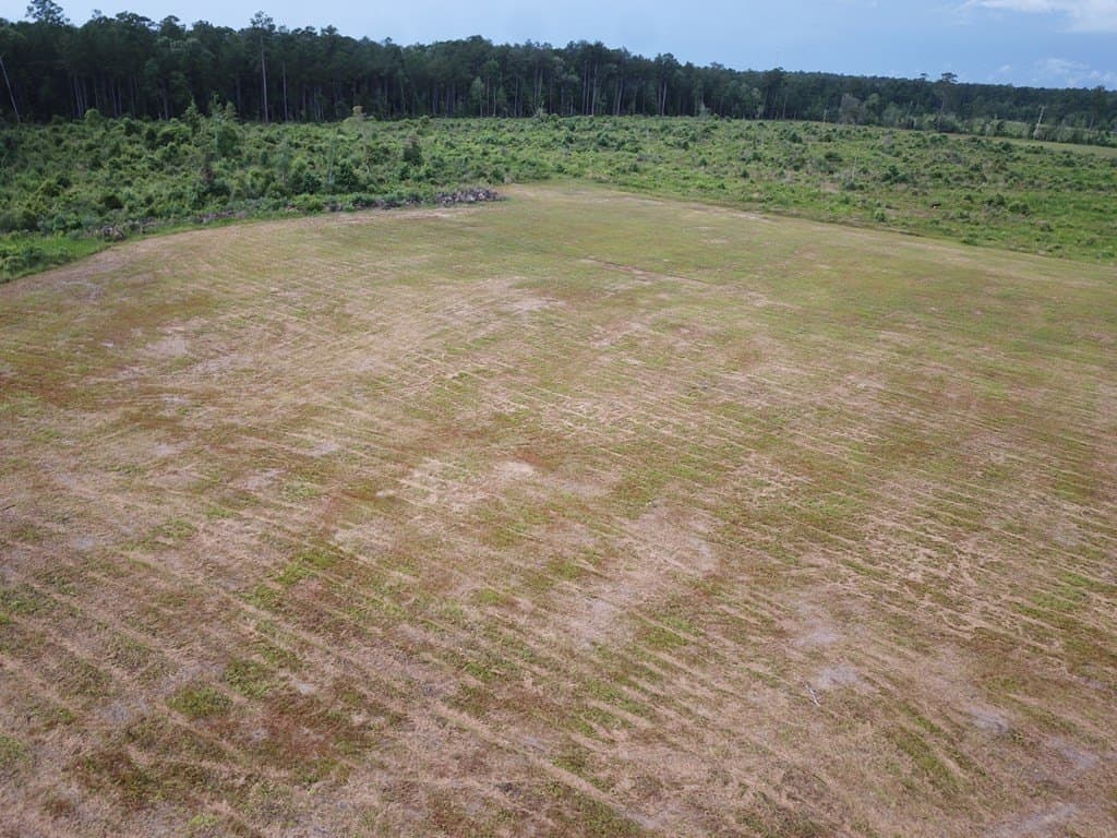 10 acres in Texas County gallery image 4