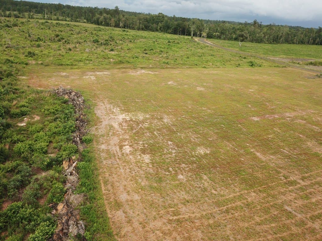 10 acres in Texas County featured view