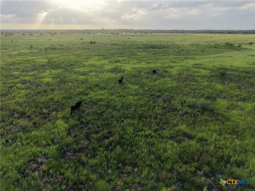30.73 acres in Jackson County - photo 12