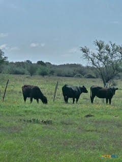 30.73 acres in Jackson County