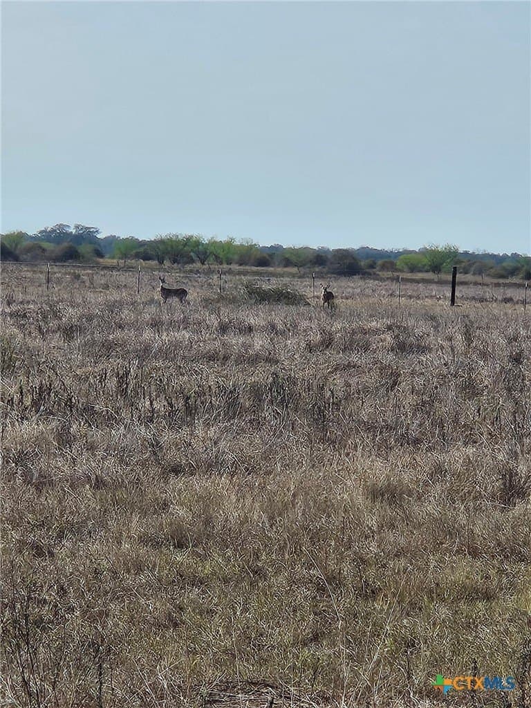 30.73 acres in Jackson County - photo 4