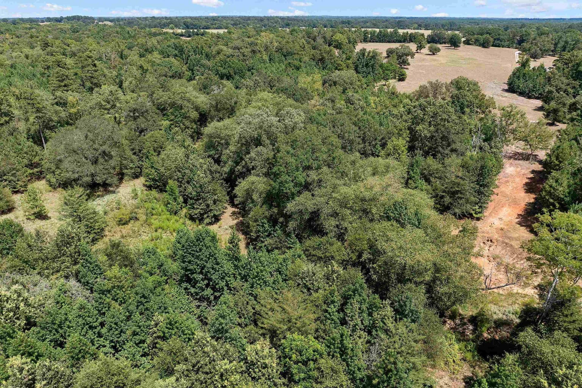 73.5 acres in Morris County - photo 14