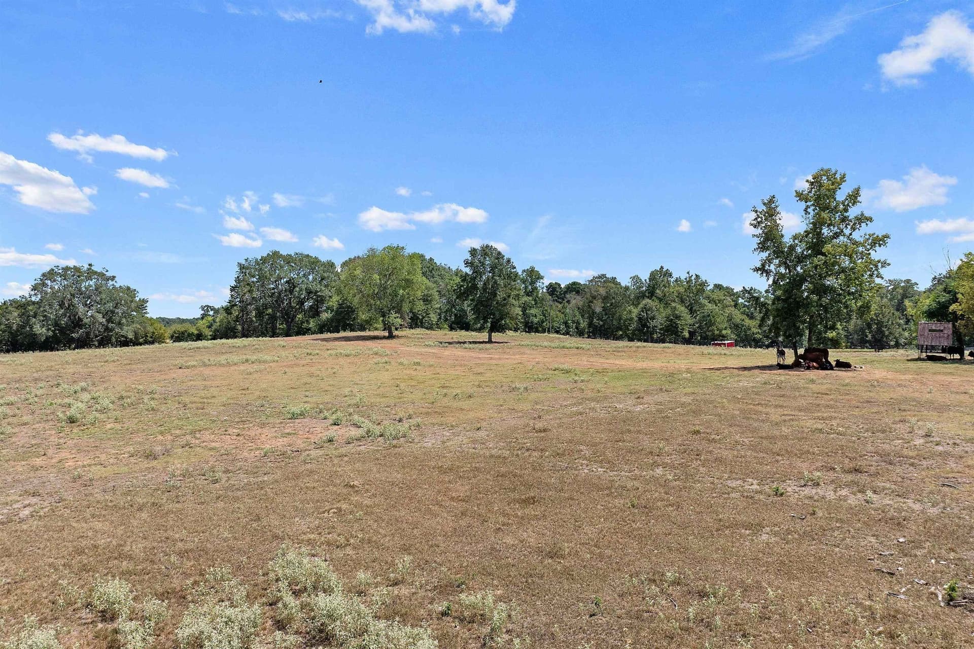 73.5 acres in Morris County - photo 15