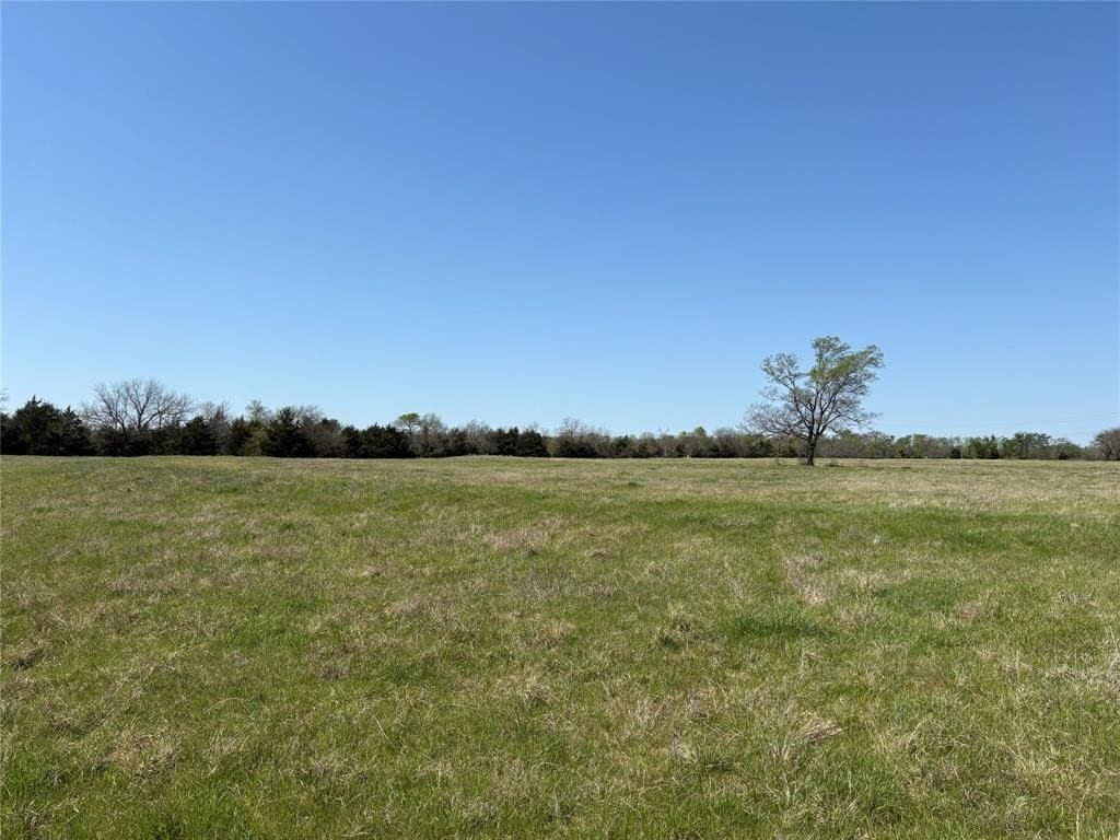 14 acres in Hopkins County gallery image 2