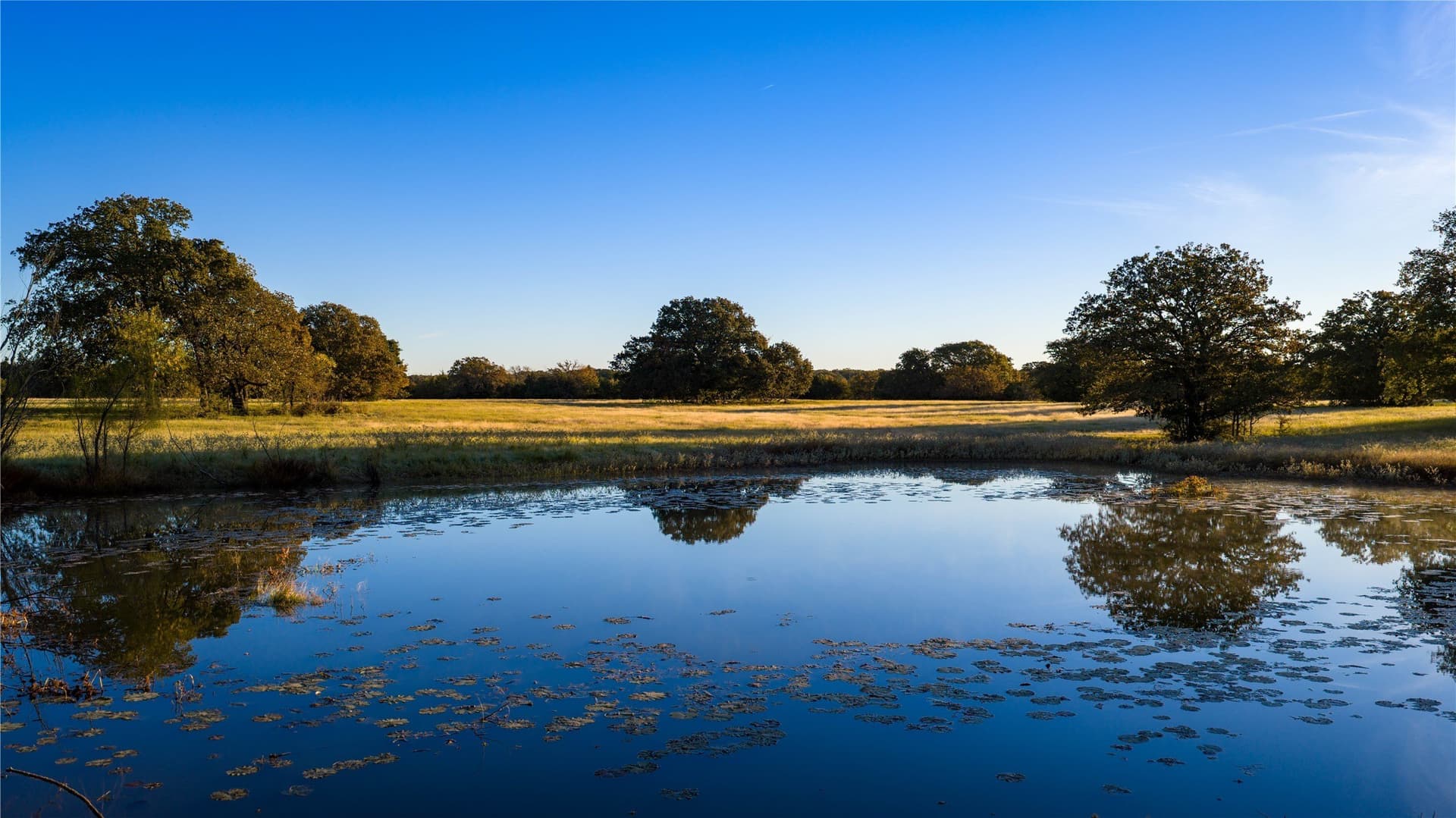 181 acres in Cooke County - photo 8