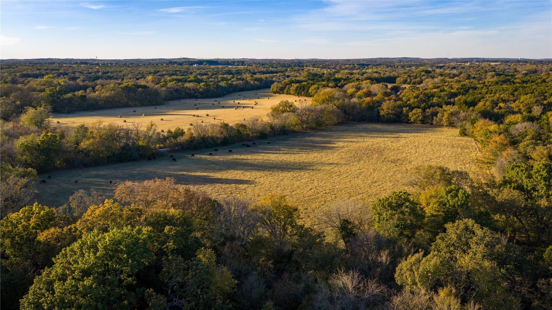 181 acres in Cooke County - photo 33