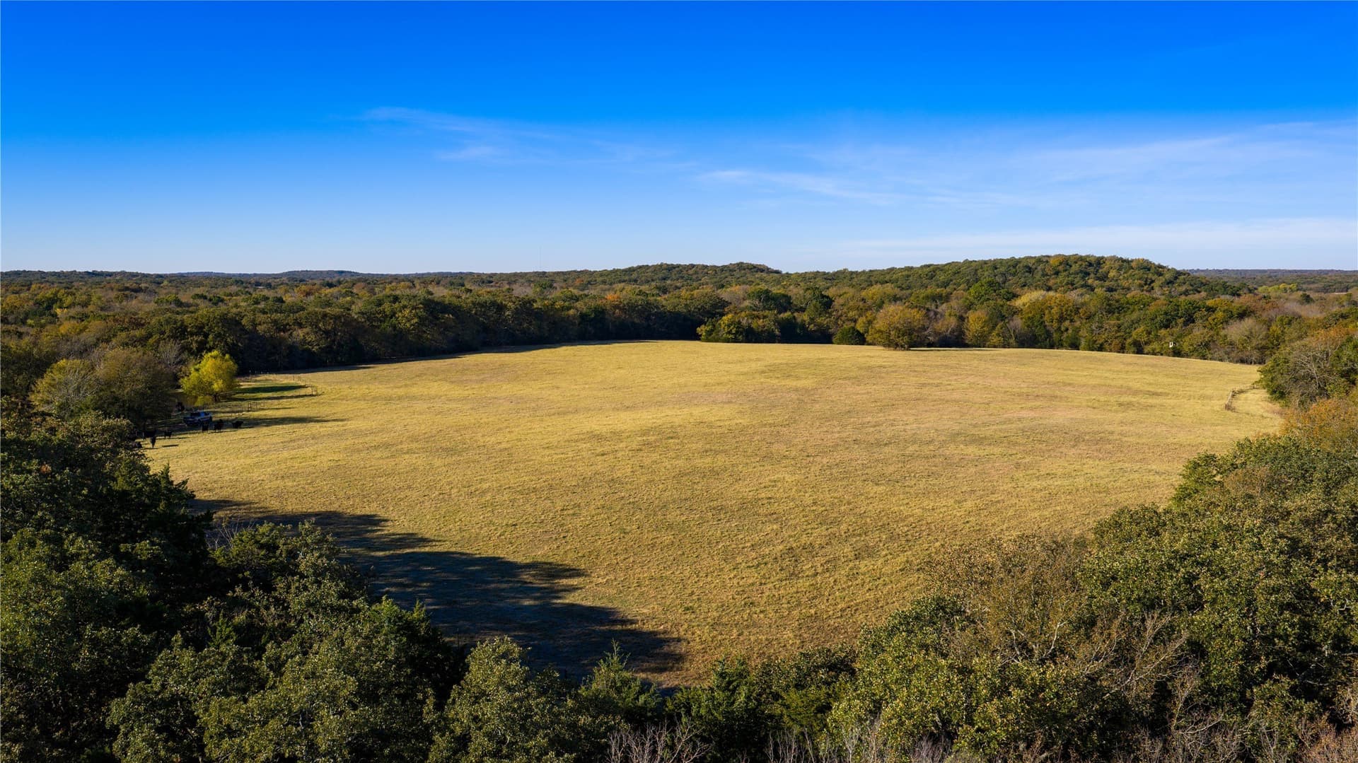 181 acres in Cooke County - photo 25