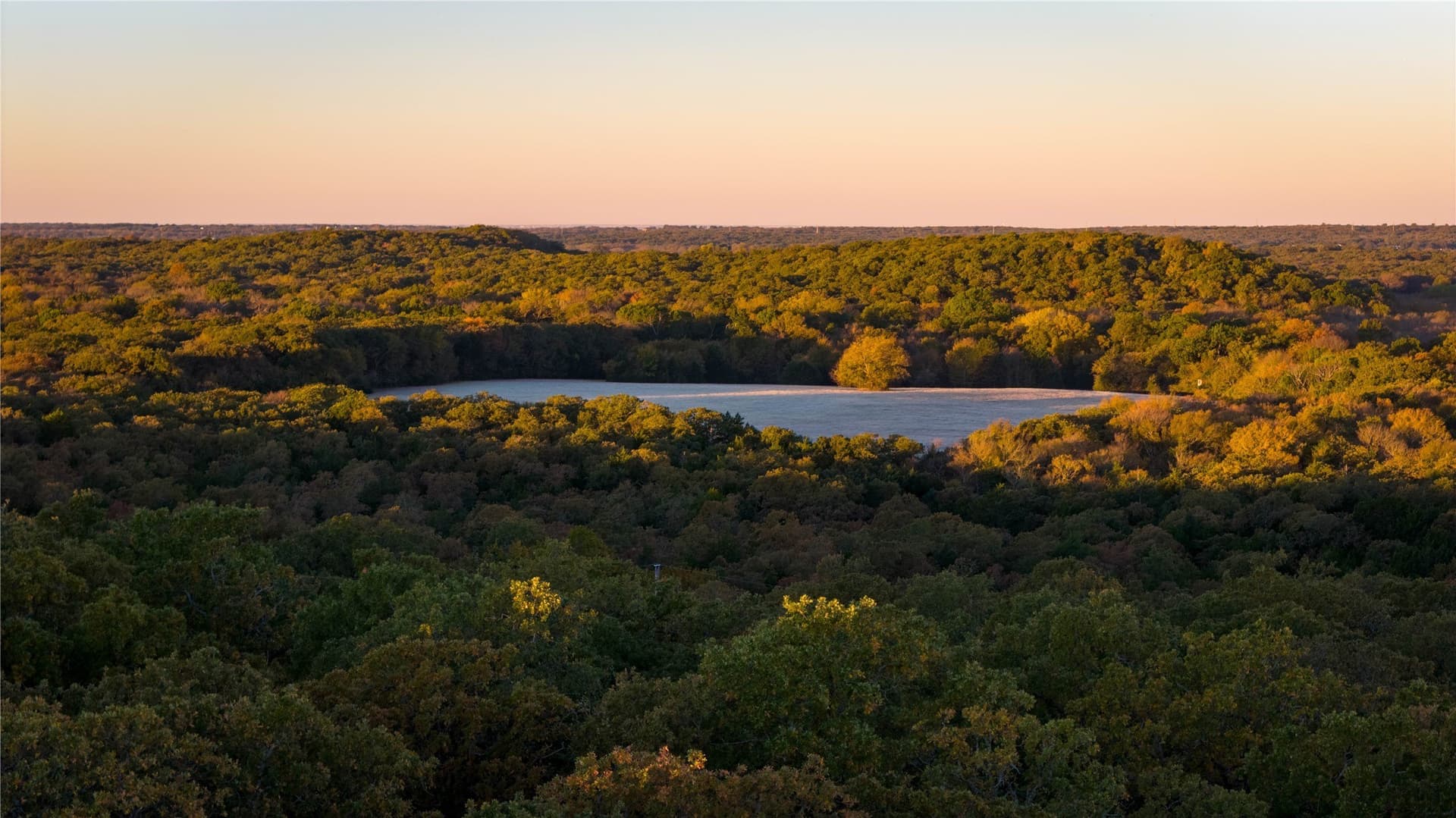 181 acres in Cooke County - photo 9