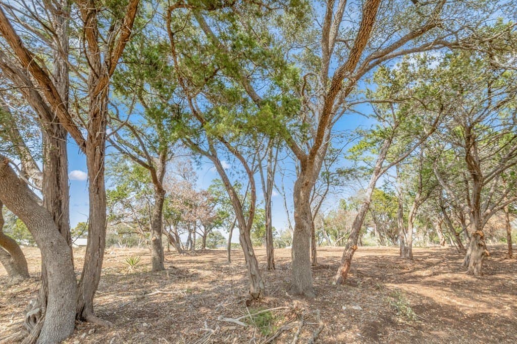 1 acres in Kerr County - photo 7