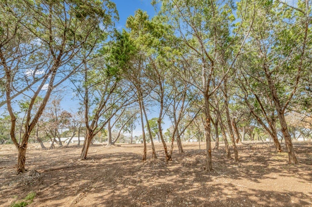 1 acres in Kerr County - photo 9