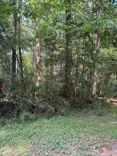 0.3 acres in Texas County - photo 6