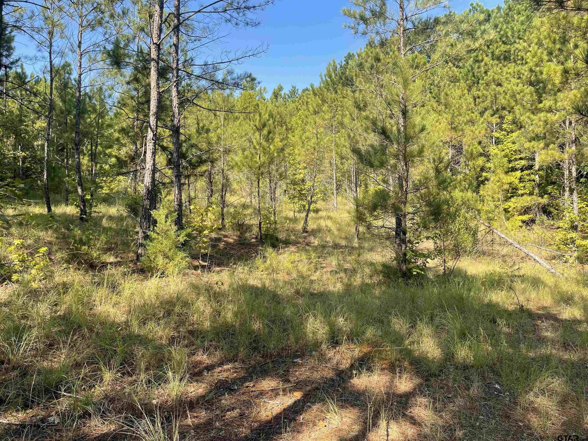 13.73 acres in Smith County featured view
