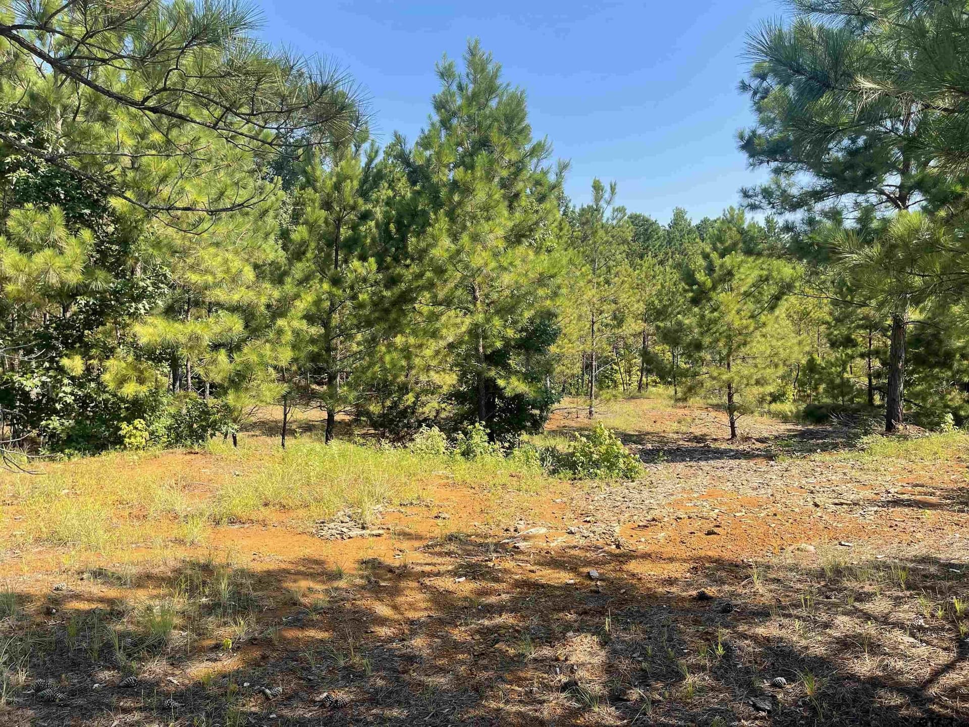 13.73 acres in Smith County gallery image 4