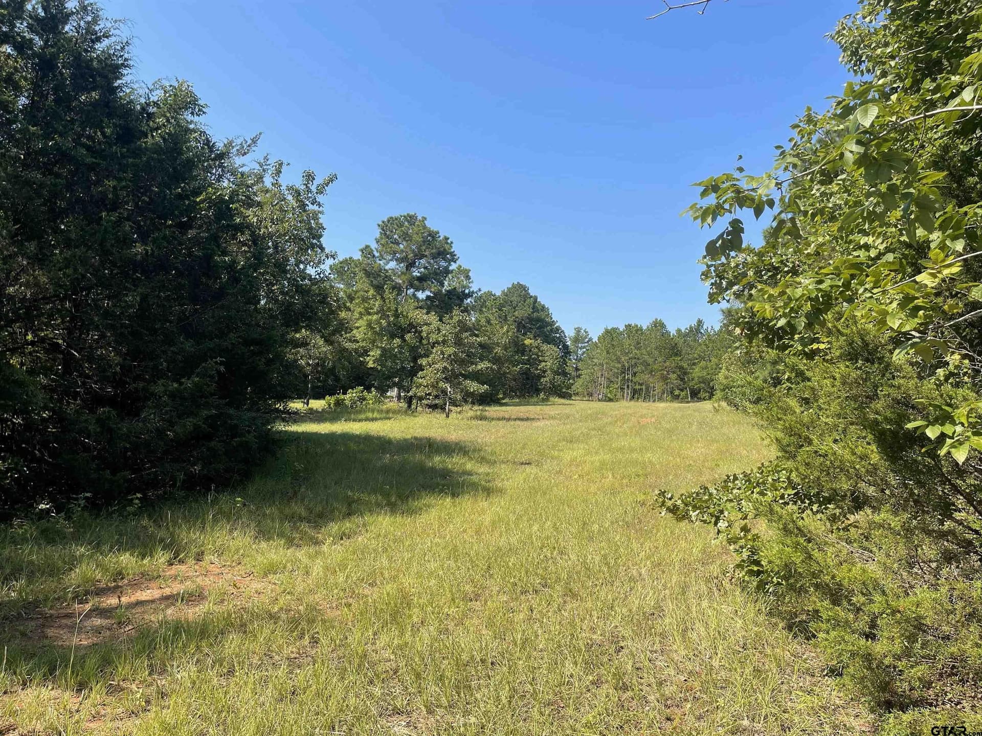13.73 acres in Smith County gallery image 3